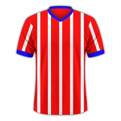 Camiseta