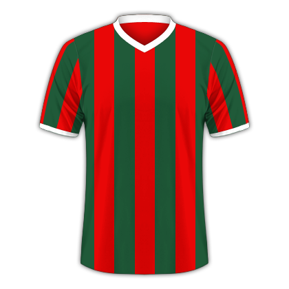 Camiseta