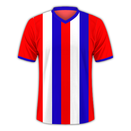 Camiseta