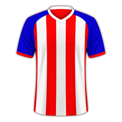 Camiseta