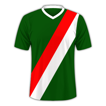 Camiseta