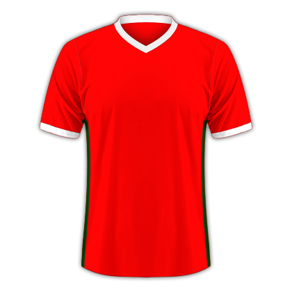 Camiseta