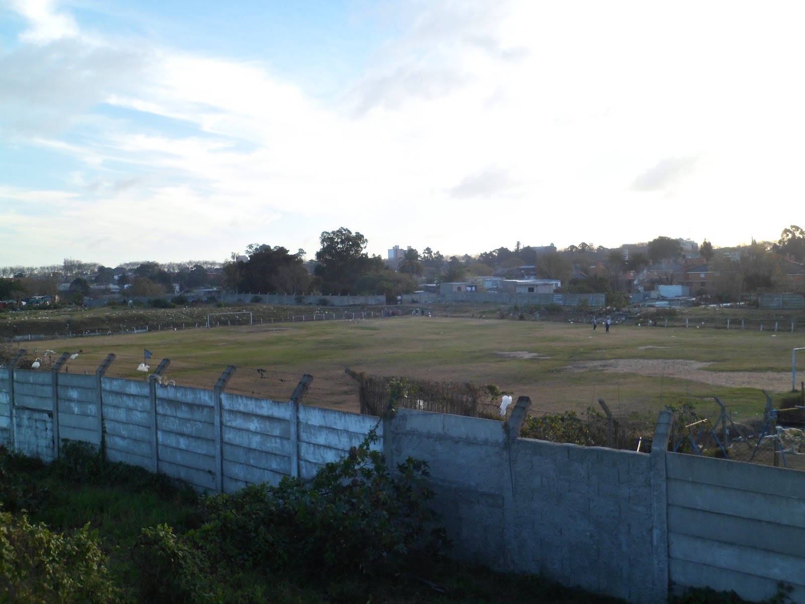 Foto Estadio