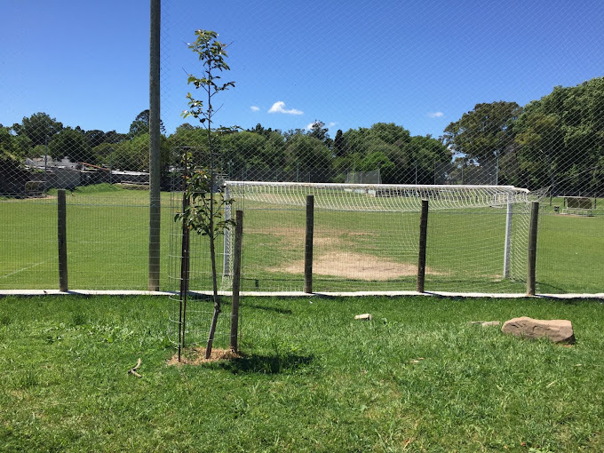Foto Estadio