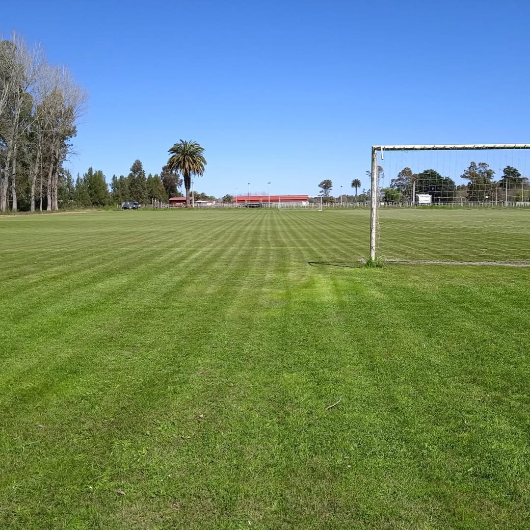 Foto Estadio