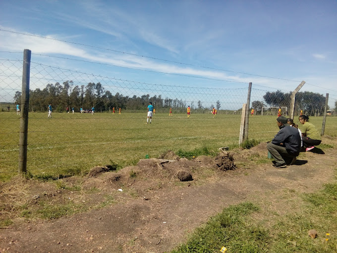 Foto Estadio