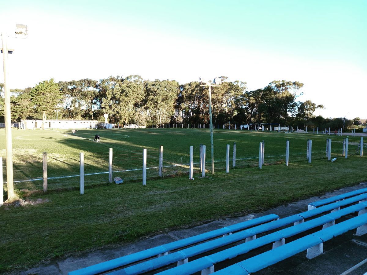 Foto Estadio