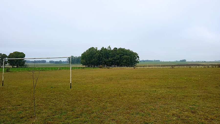 Foto Estadio